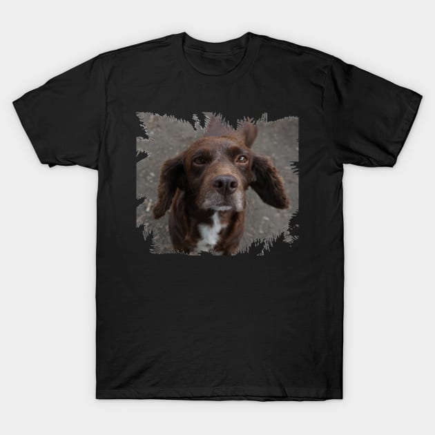 Fluffy Dog T-Shirt by Nicole Gath Photography